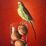 La Perruche aux noix